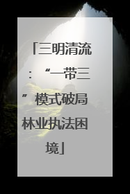 三明清流：“一带三”模式破局林业执法困境